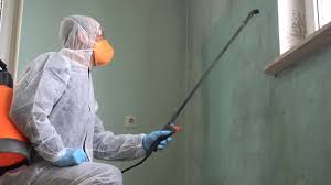 Best Mold Damage Restoration  in Hillsborough, CA