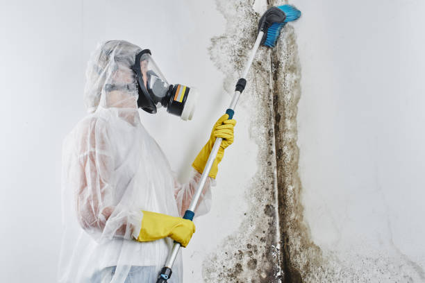 Hillsborough, CA Mold Inspection Company