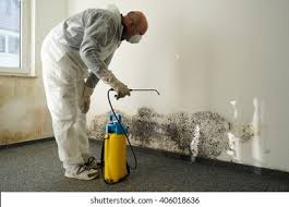 Mold Odor Removal Services in Hillsborough, CA